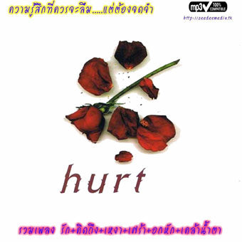 ซีดี Various -  hurt ชุด ความรู้สึกที่ควรจะลืม แต่ต้องจดจำ (CD) (VG+)