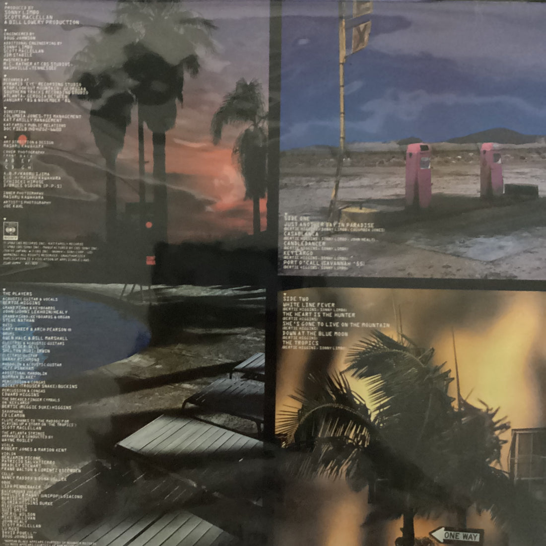 แผ่นเสียง Bertie Higgins - Just Another Day In Paradise Vinyl VG+