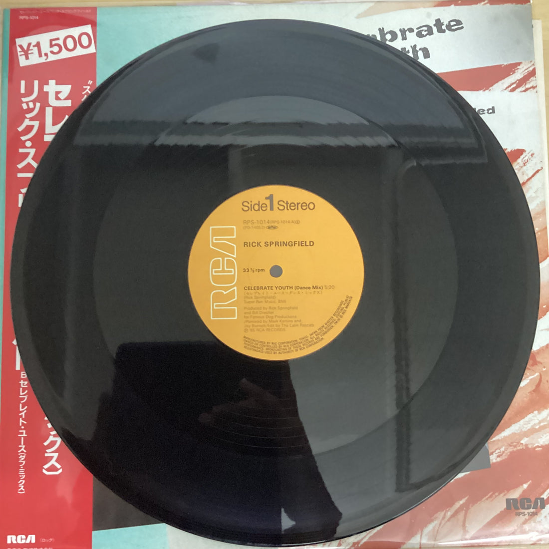 แผ่นเสียง Rick Springfield - Celebrate Youth Vinyl VG+