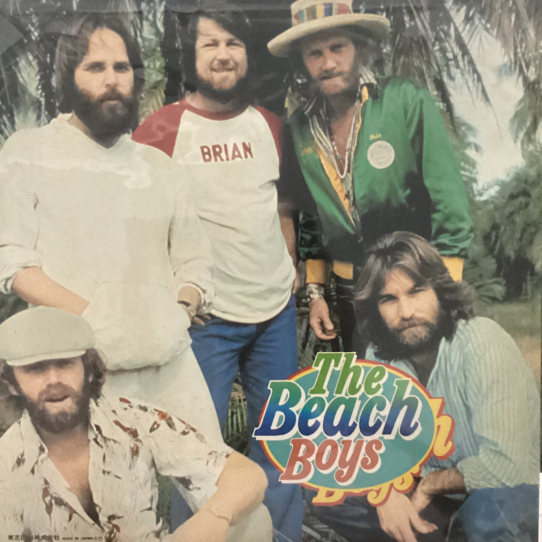 แผ่นเสียง The Beach Boys - The Beach Boys Vinyl VG+ 2LPs