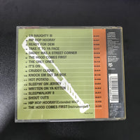 ซีดี Naughty By Nature - 19 Naughty III CD VG+