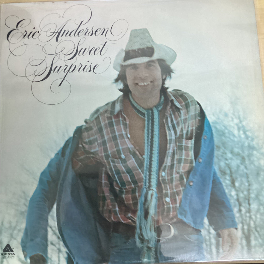แผ่นเสียง Eric Andersen - Sweet Surprise Vinyl VG+