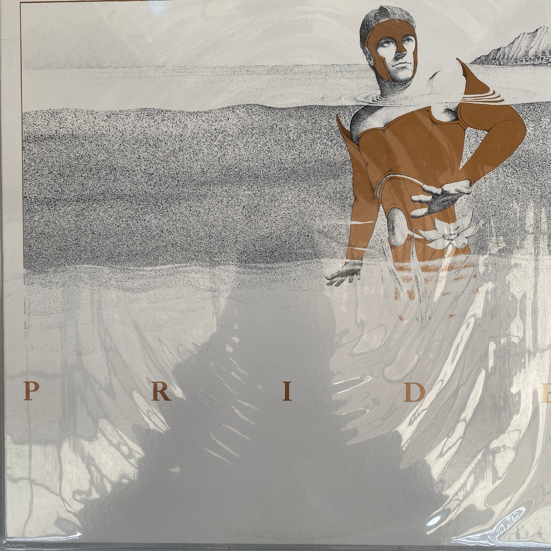 แผ่นเสียง Robert Palmer - Pride Vinyl VG+
