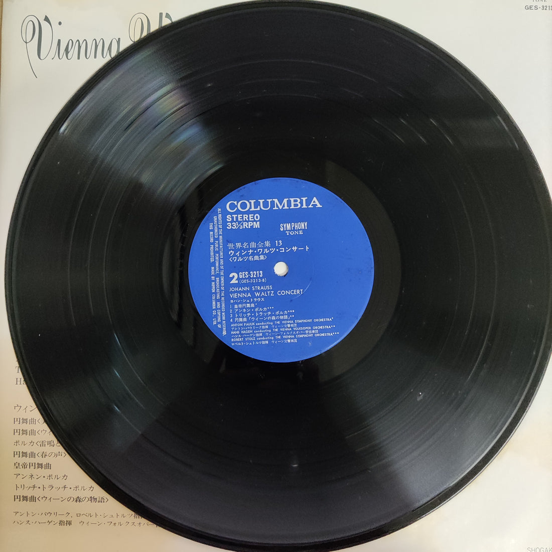 แผ่นเสียง Johann Strauss - Vienna Waltz Concert (Vinyl) (VG+)