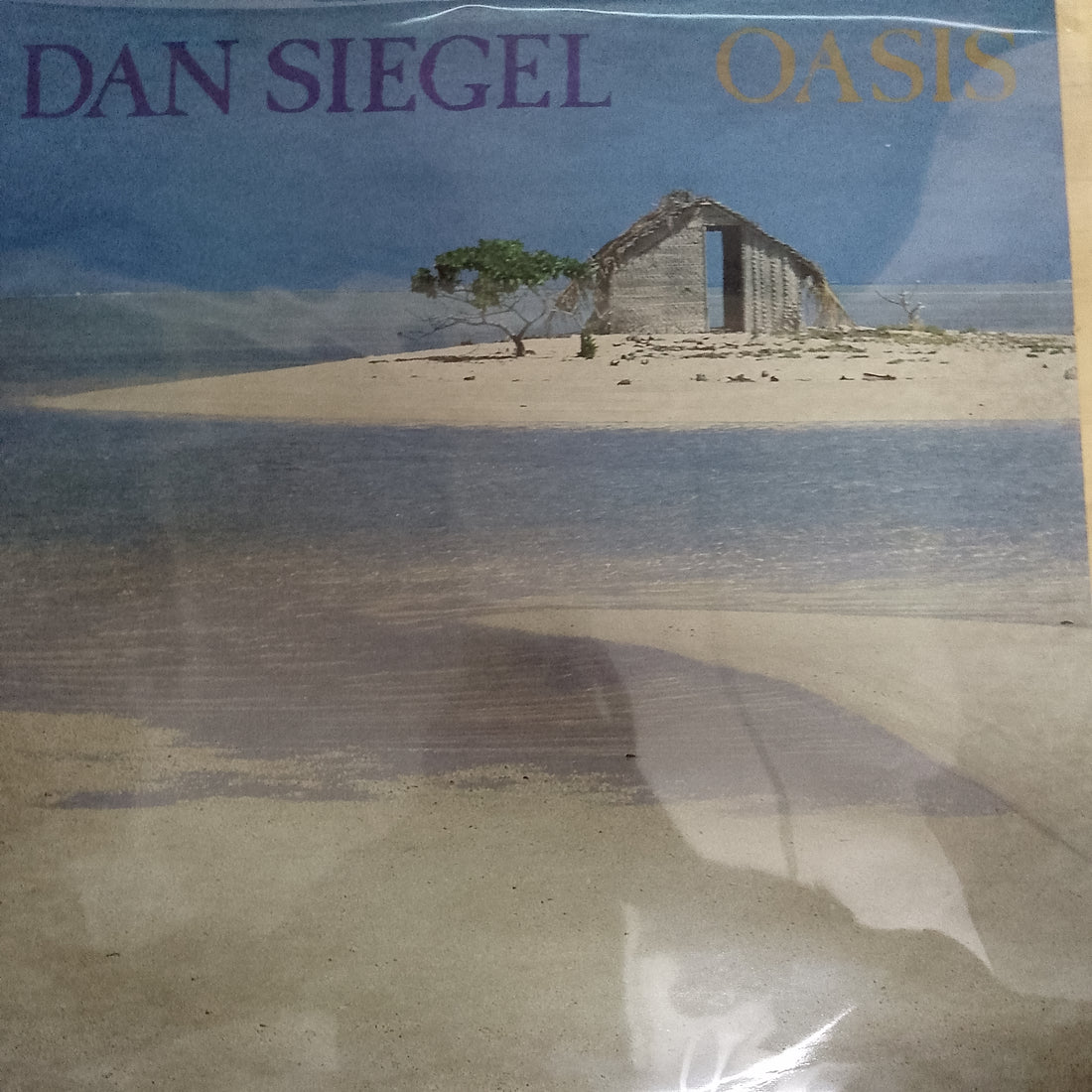 แผ่นเสียง Dan Siegel - Oasis (Vinyl) (VG+)