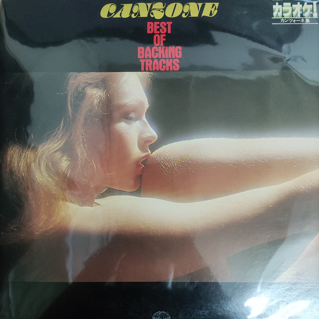 แผ่นเสียง Various - Canzone Best Of Backing Tracks (Vinyl) (VG+)