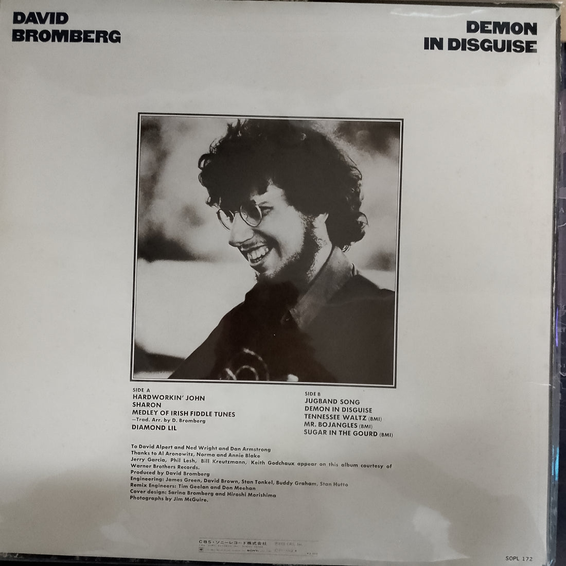 แผ่นเสียง David Bromberg - Demon In Disguise Vinyl VG+