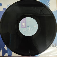 แผ่นเสียง The Orb - A Huge Ever Growing Pulsating Brain That Rules From The Centre Of The Ultraworld Vinyl VG+