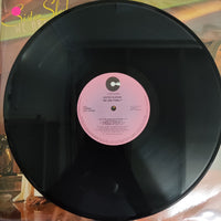 แผ่นเสียง Sister Sledge - We Are Family Vinyl VG+