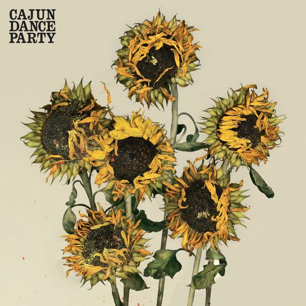 ซีดี Cajun Dance Party - The Colourful Life CD M