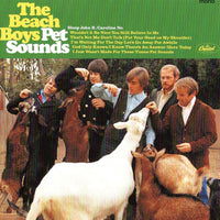 ซีดี The Beach Boys - Pet Sounds CD VG+