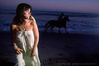 ซีดี Linda Ronstadt - Hasten Down The Wind (CD) (VG+)