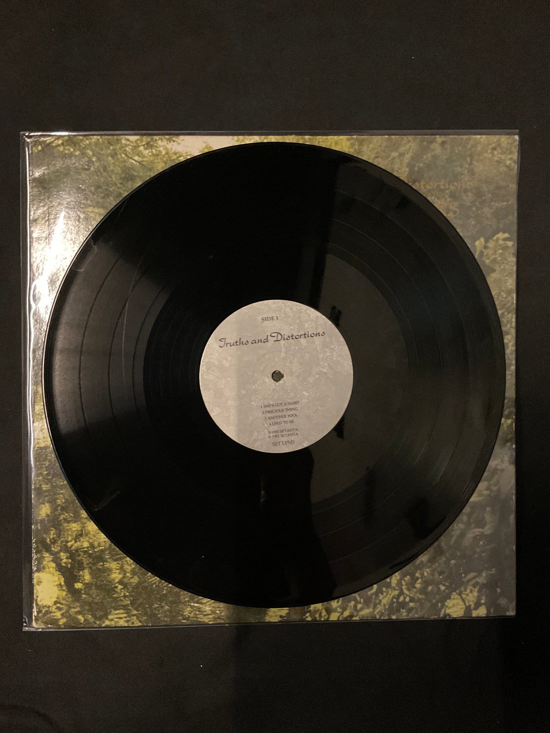 แผ่นเสียง The Floors - Truths And Distortions Vinyl VG+