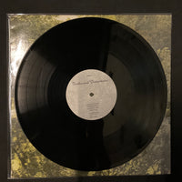 แผ่นเสียง The Floors - Truths And Distortions Vinyl VG+