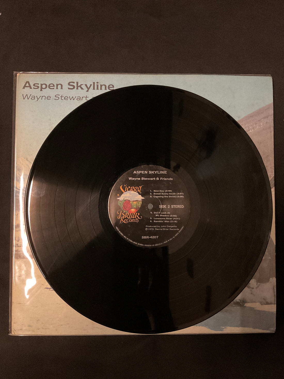 แผ่นเสียง Wayne Stewart - Aspen Skyline Vinyl VG+