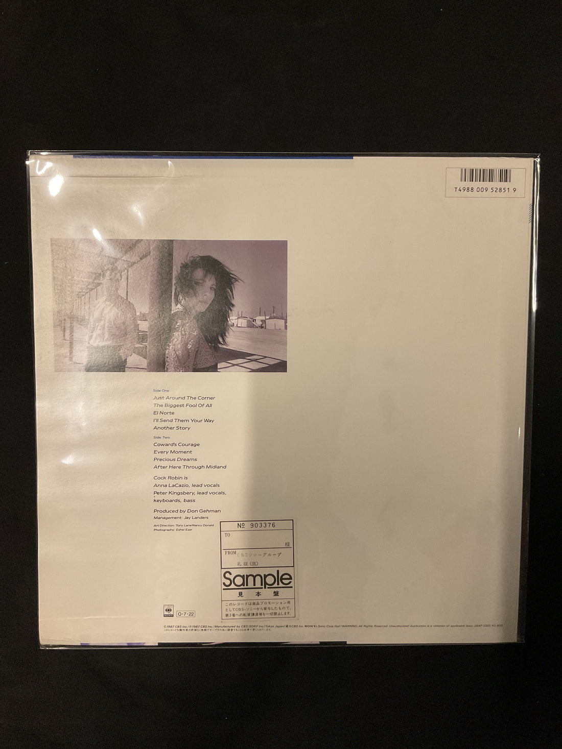 แผ่นเสียง Cock Robin - After Here Through Midland Vinyl VG+