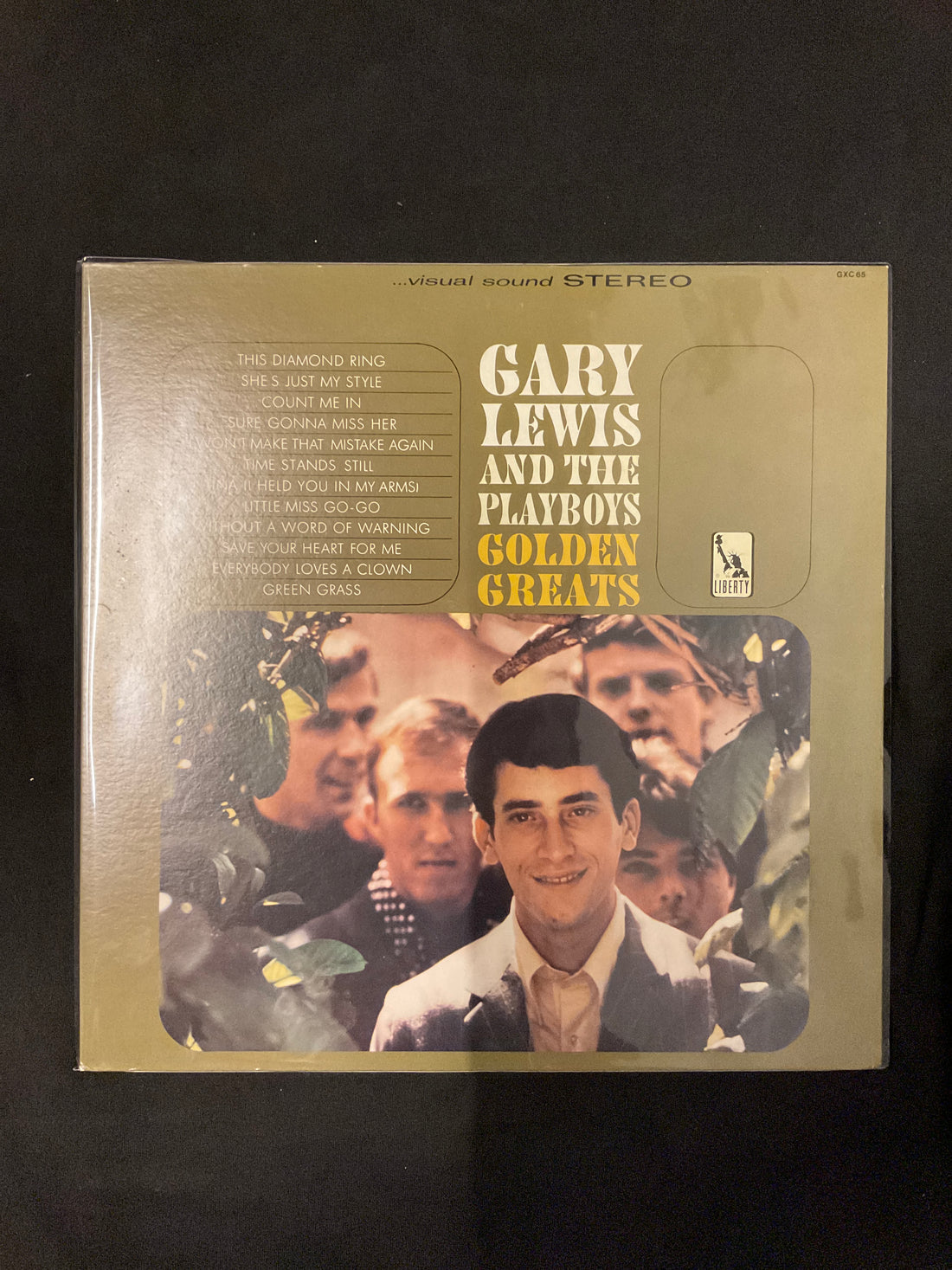 แผ่นเสียง Gary Lewis & The Playboys - Golden Greats Vinyl VG+