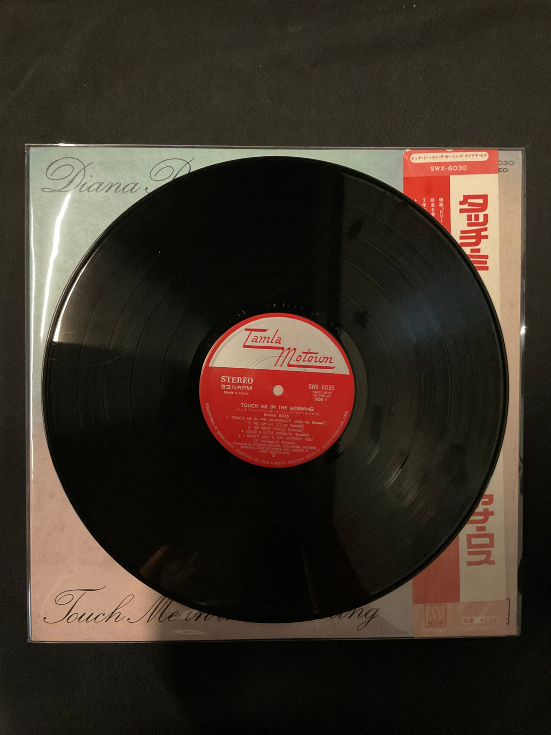 แผ่นเสียง Diana Ross - Touch Me In The Morning Vinyl VG+