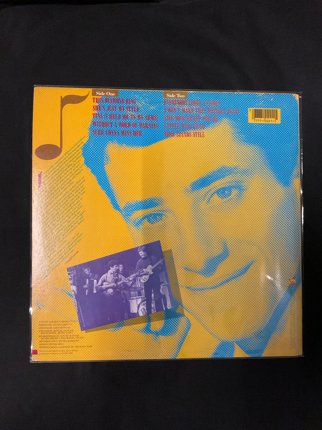 แผ่นเสียง Gary Lewis & The Playboys - Golden Greats Vinyl VG+