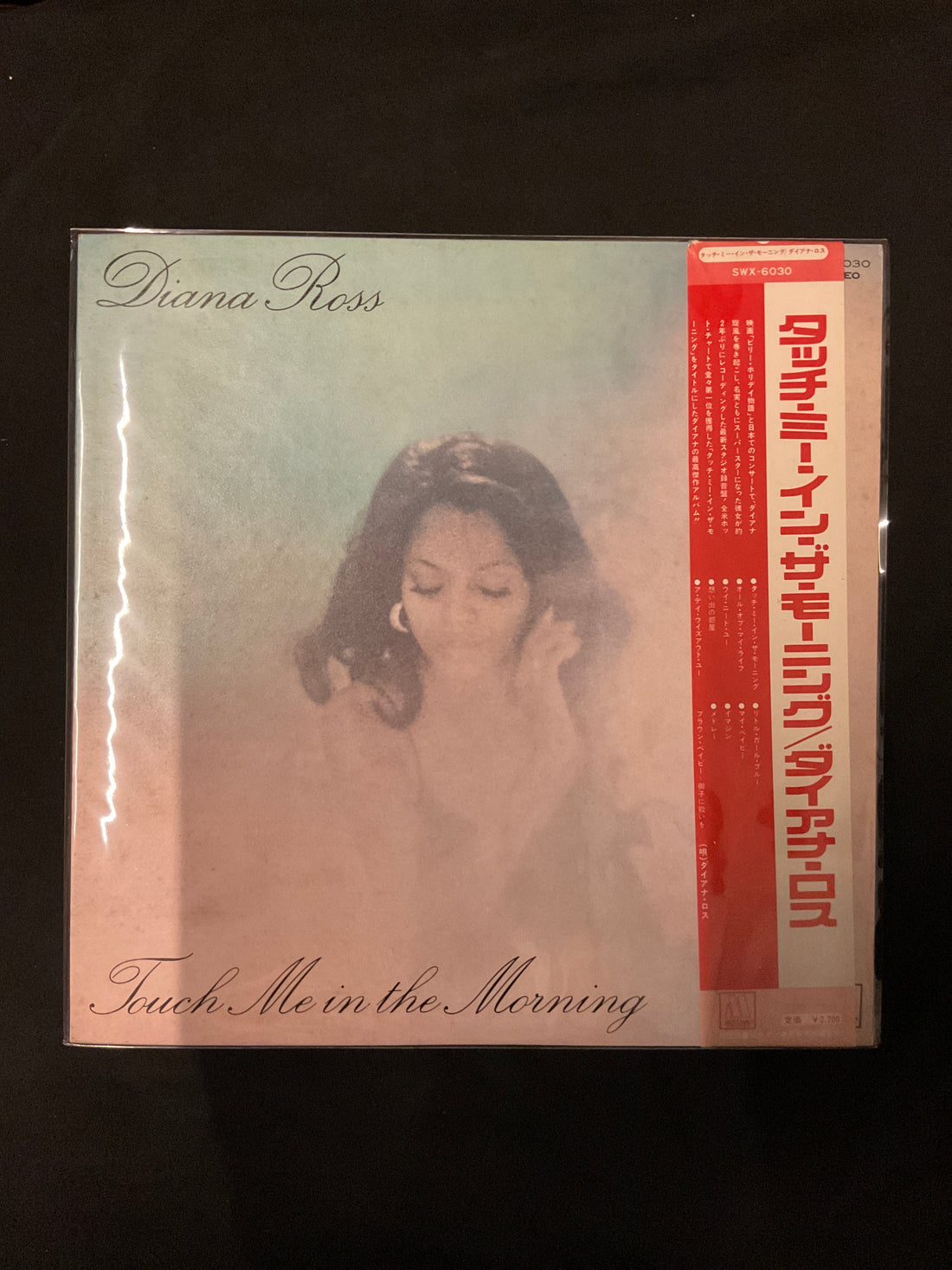 แผ่นเสียง Diana Ross - Touch Me In The Morning Vinyl VG+