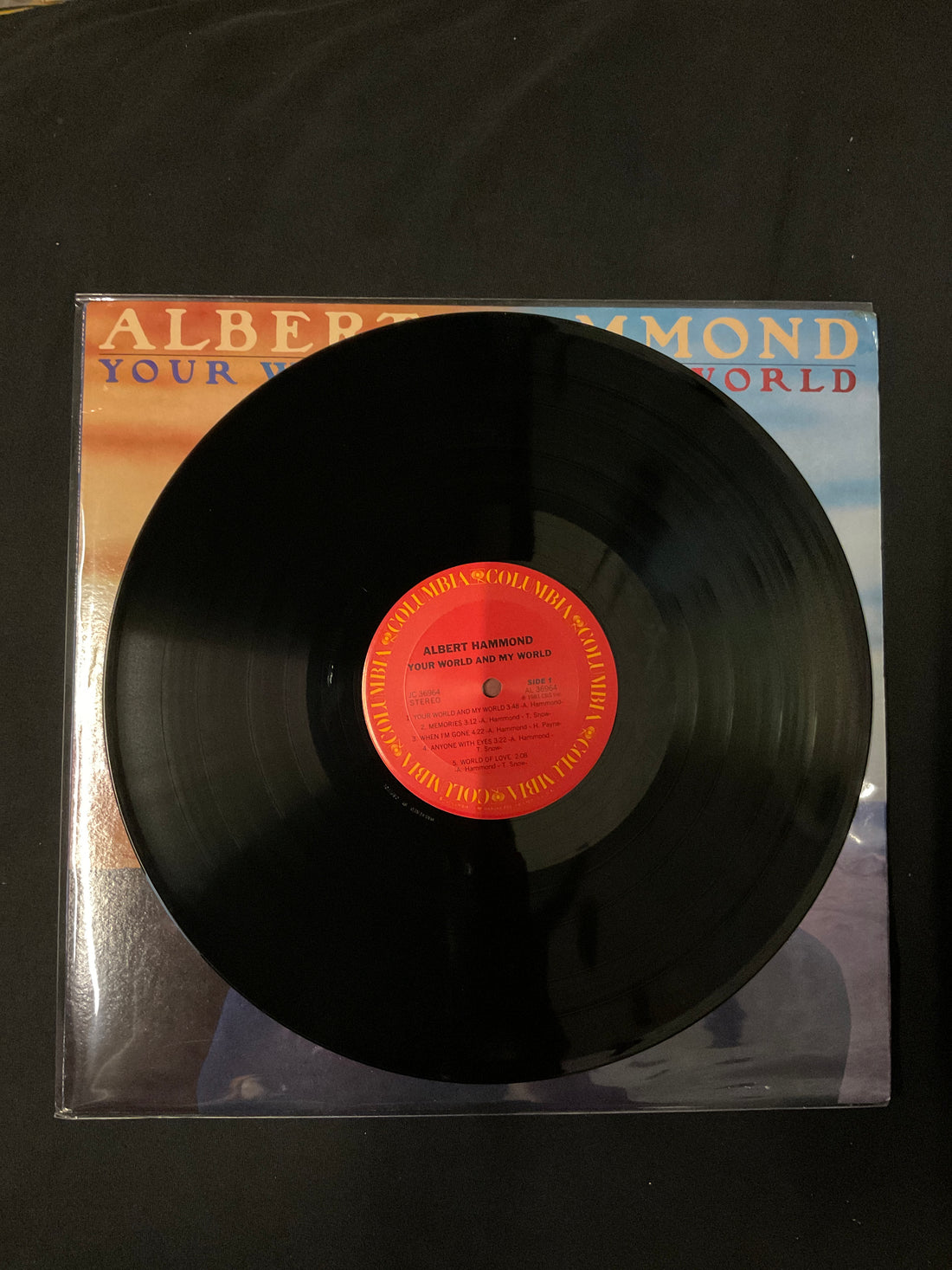 Albert Hammond - Your World And My World Vinyl VG+