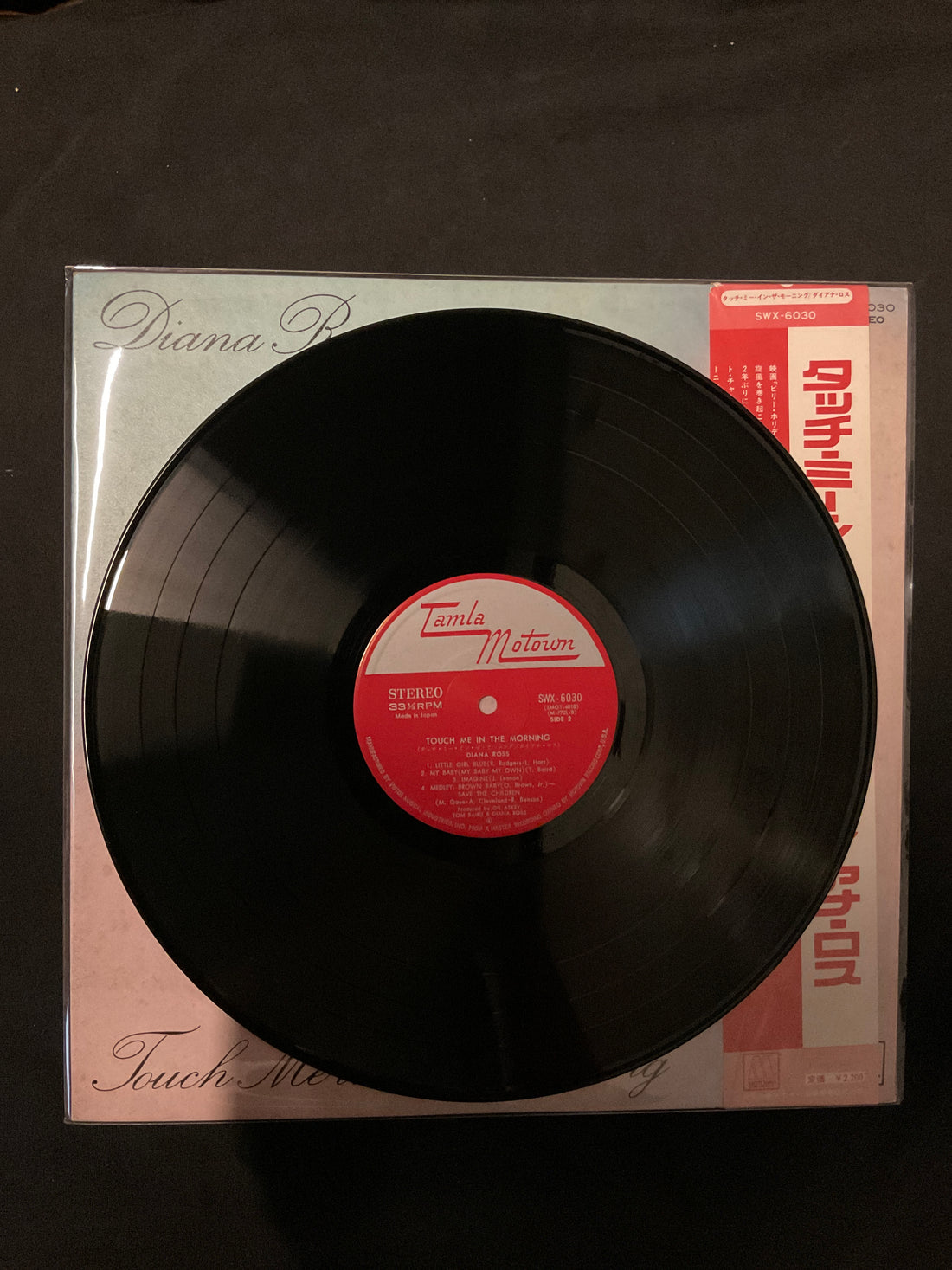 แผ่นเสียง Diana Ross - Touch Me In The Morning Vinyl VG+