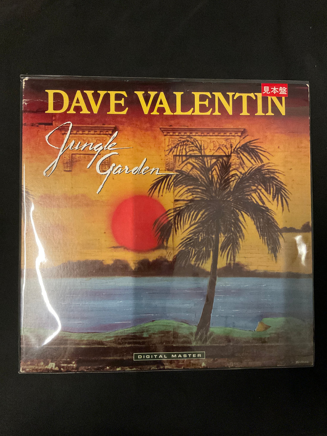 Dave Valentin - Jungle Garden Vinyl VG+