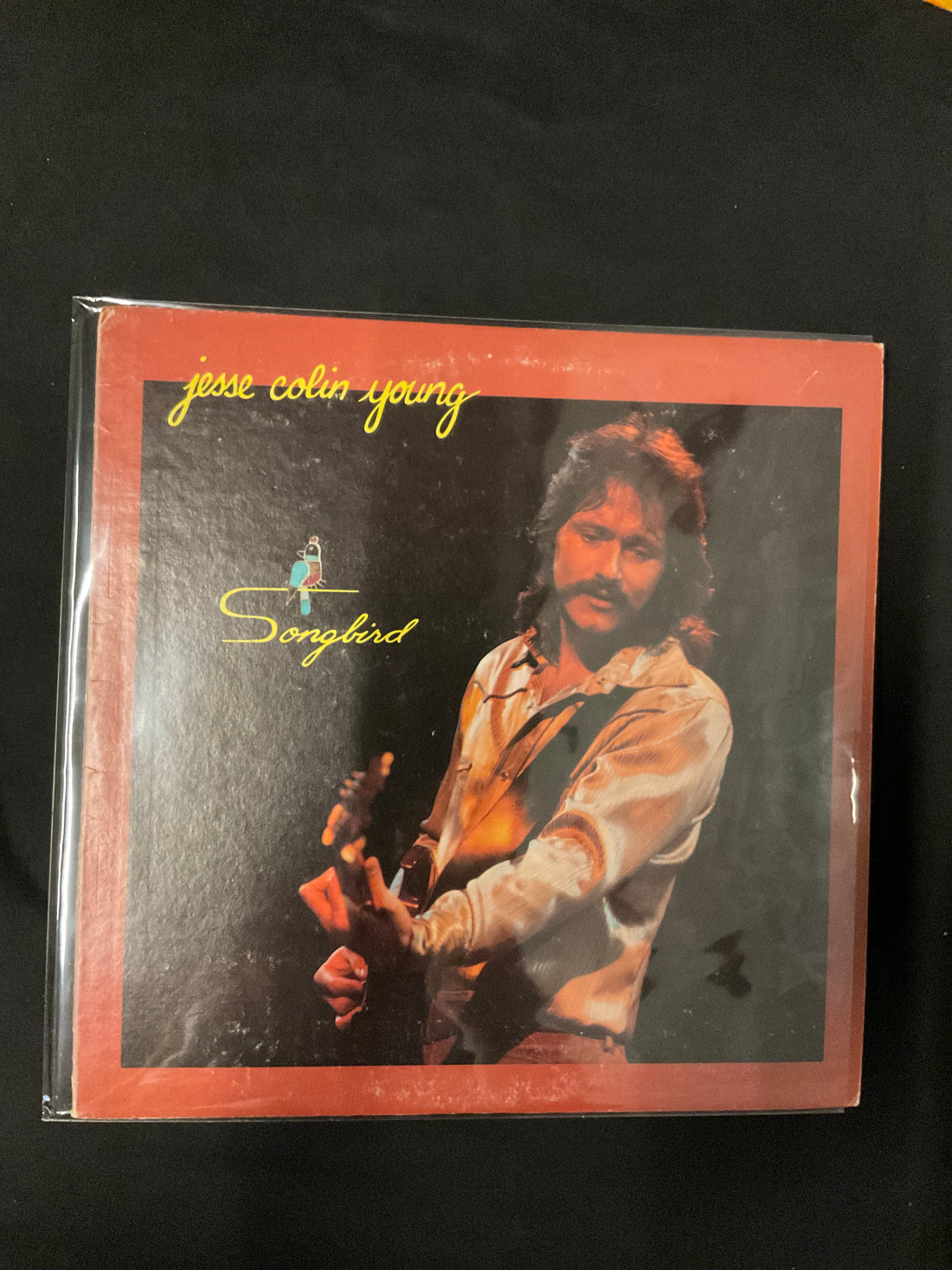 แผ่นเสียง Jesse Colin Young - Songbird Vinyl VG+