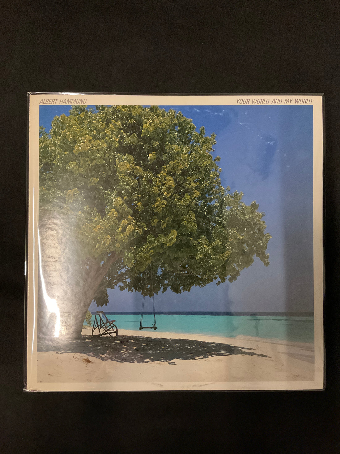 แผ่นเสียง Albert Hammond - Your World And My World Vinyl VG+