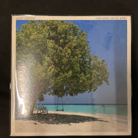 แผ่นเสียง Albert Hammond - Your World And My World Vinyl VG+