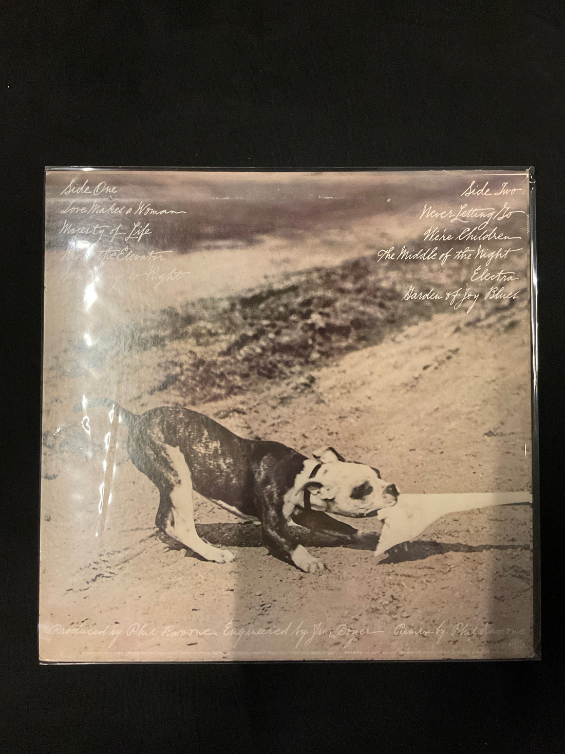 แผ่นเสียง Phoebe Snow - Never Letting Go Vinyl VG+