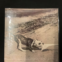 แผ่นเสียง Phoebe Snow - Never Letting Go Vinyl VG+