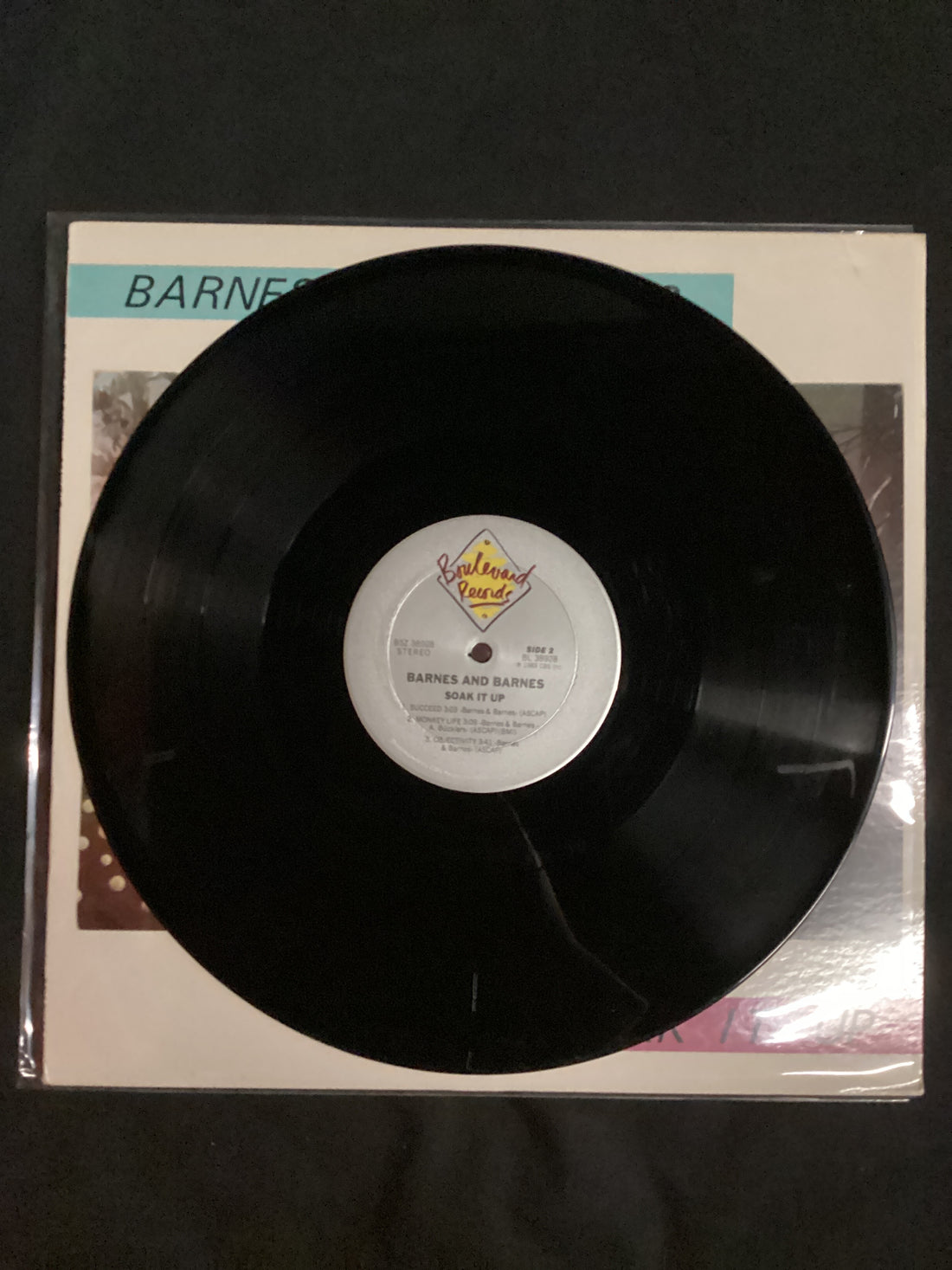 แผ่นเสียง Barnes & Barnes - Soak It Up Vinyl VG+