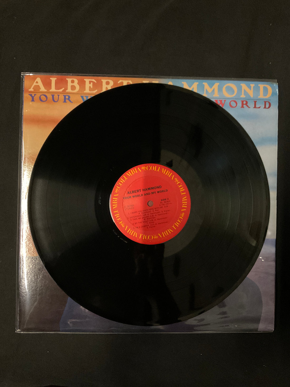 Albert Hammond - Your World And My World Vinyl VG+