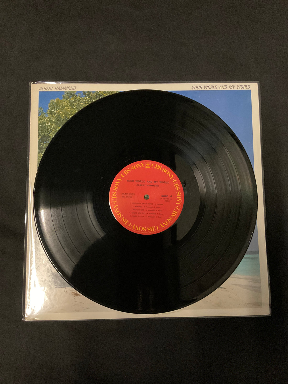 แผ่นเสียง Albert Hammond - Your World And My World Vinyl VG+