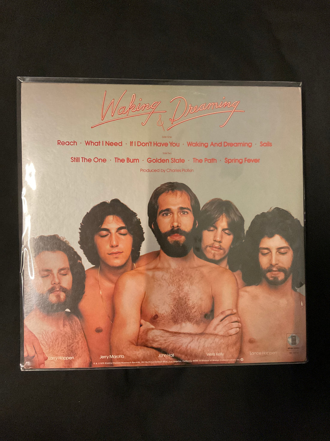 แผ่นเสียง Orleans - Waking And Dreaming Vinyl VG+