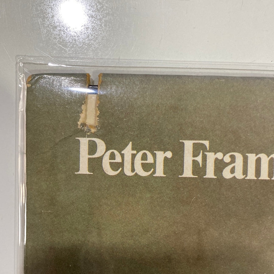 แผ่นเสียง Peter Frampton - I'm In You Vinyl VG+