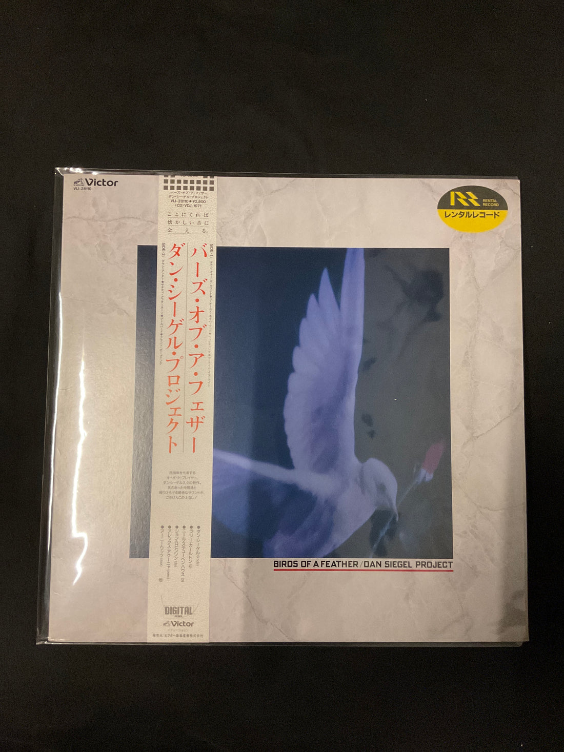 แผ่นเสียง Birds Of A Feather - Birds Of A Feather Vinyl VG+