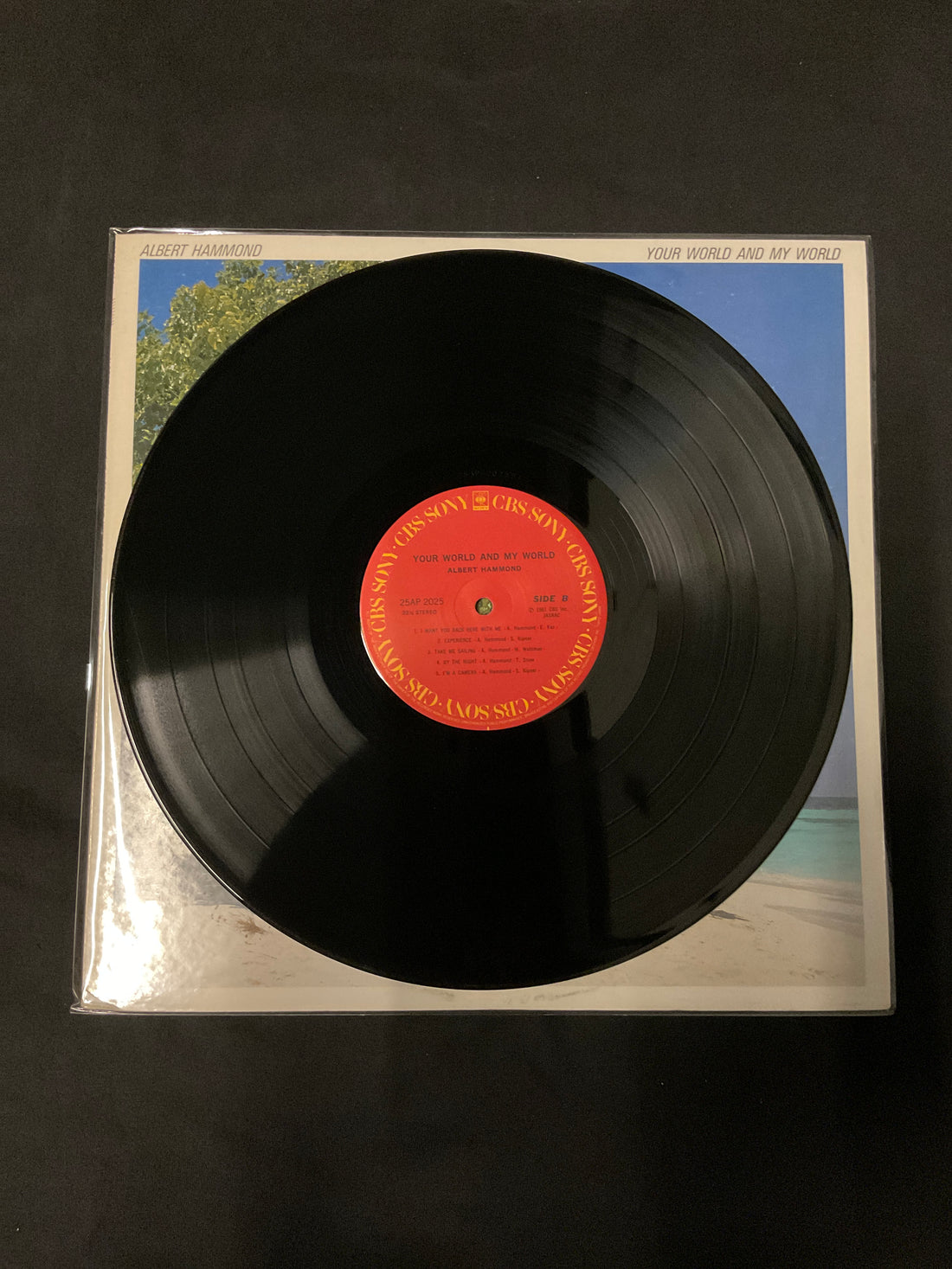 แผ่นเสียง Albert Hammond - Your World And My World Vinyl VG+