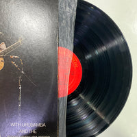 Paul Simon With Urubamba And The Jessy Dixon Singers - Paul Simon In Concert Live Rhymin' (Vinyl) (VG)