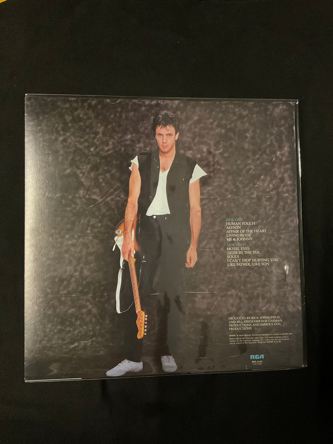 แผ่นเสียง Rick Springfield - Living In Oz Vinyl VG+