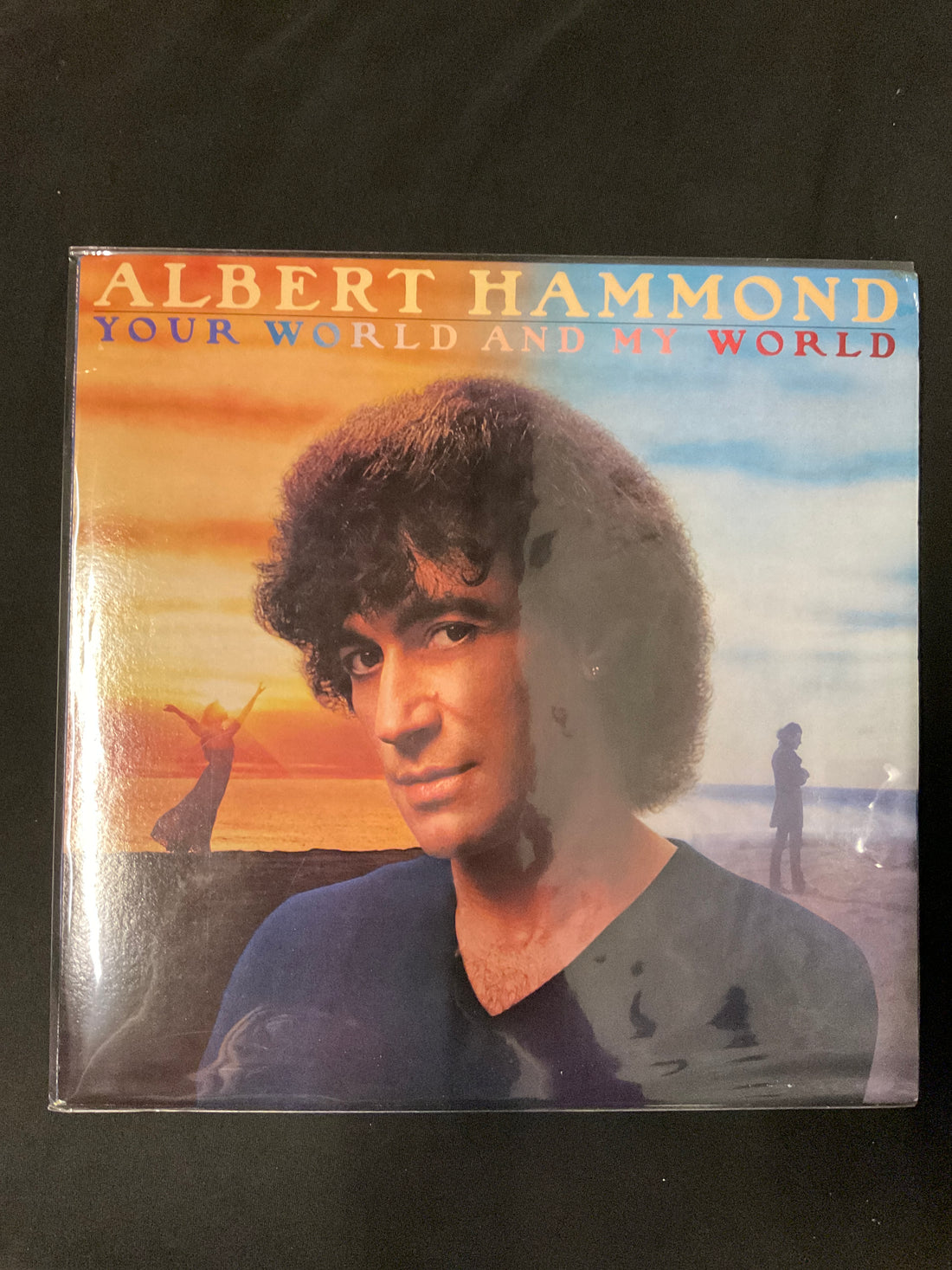 Albert Hammond - Your World And My World Vinyl VG+