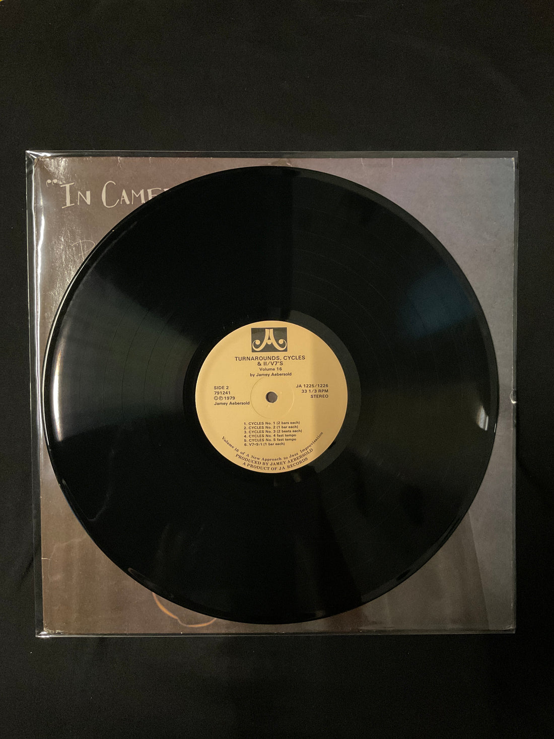 แผ่นเสียง Peter Hammill - In Camera Vinyl VG+