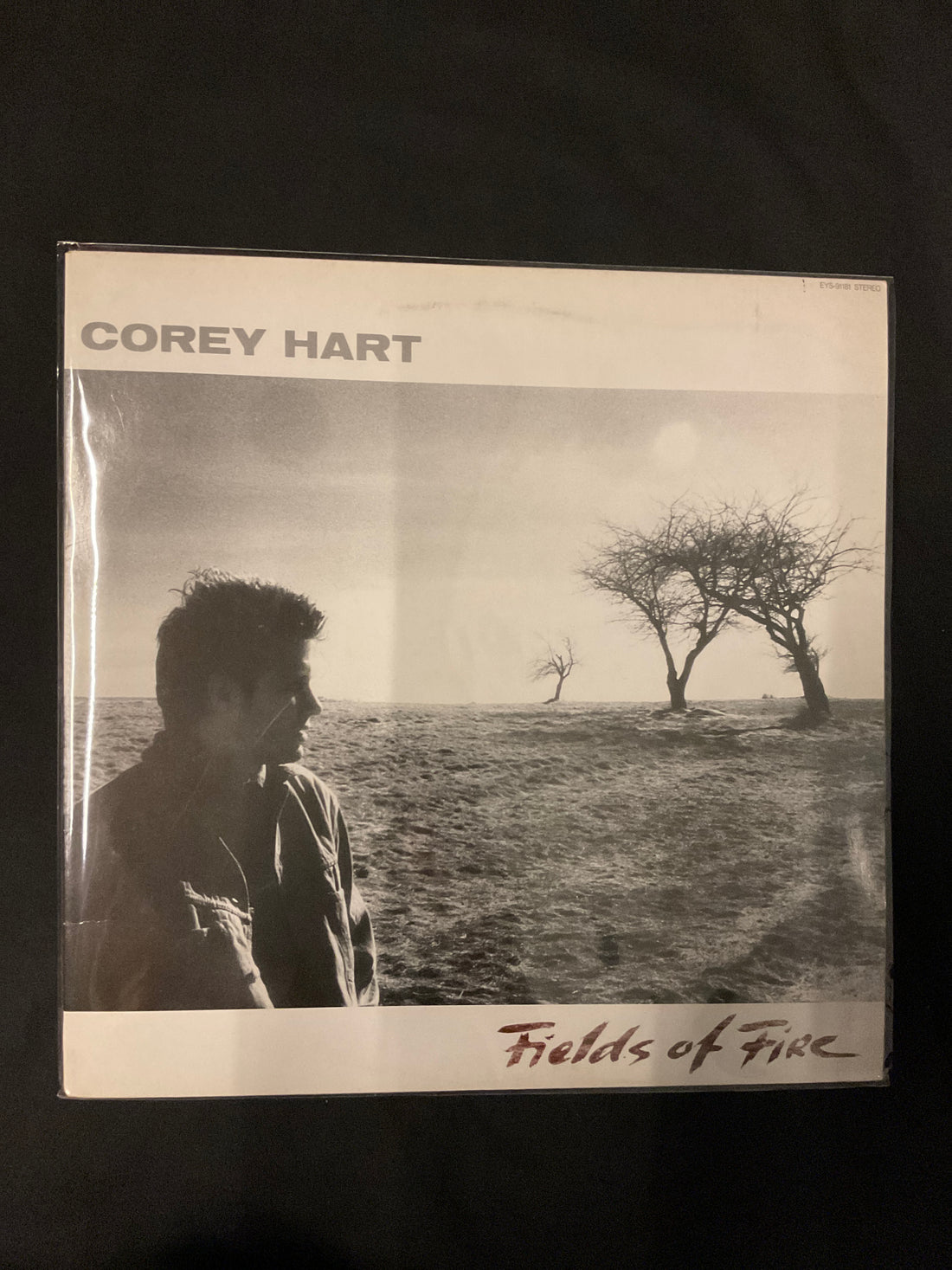 แผ่นเสียง Corey Hart - Fields Of Fire Vinyl VG+