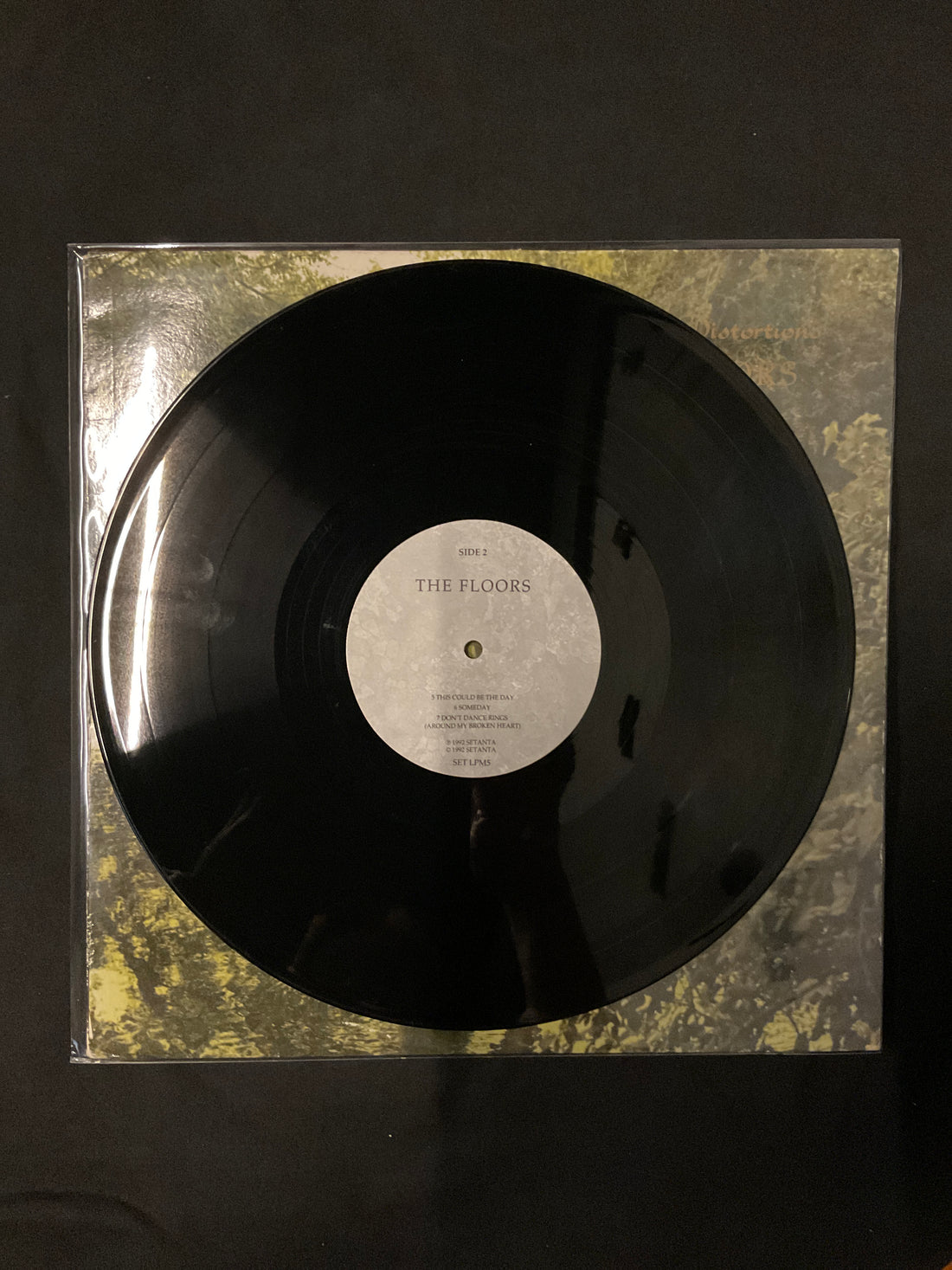 แผ่นเสียง The Floors - Truths And Distortions Vinyl VG+