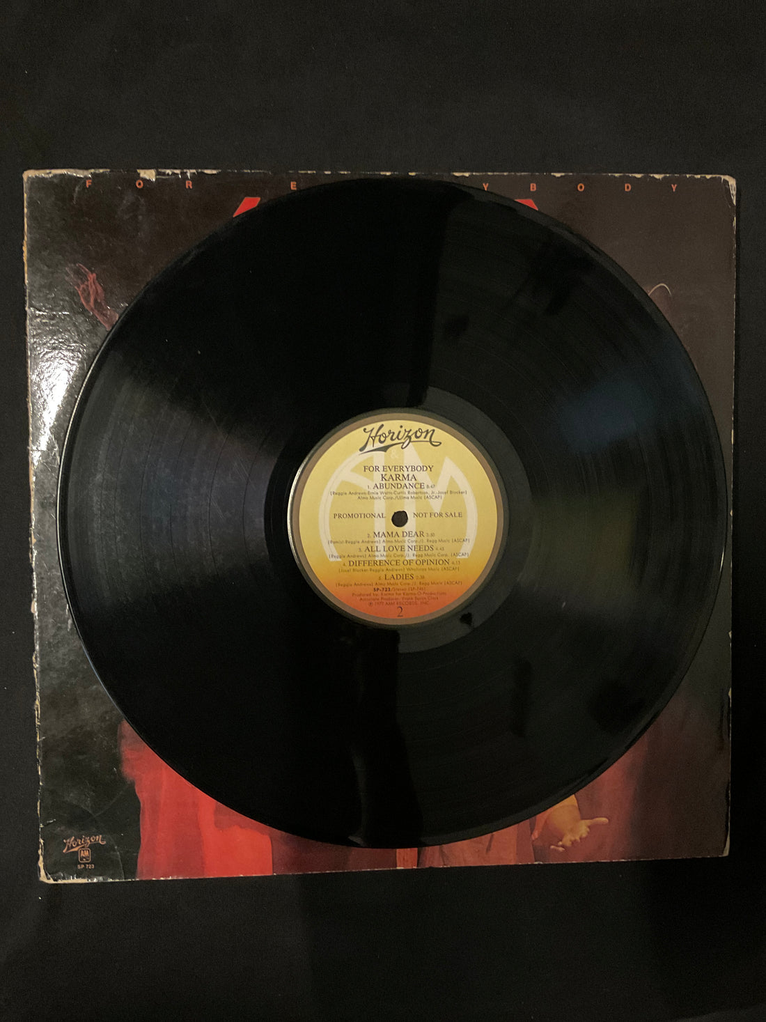 Karma - For Everybody Vinyl VG+