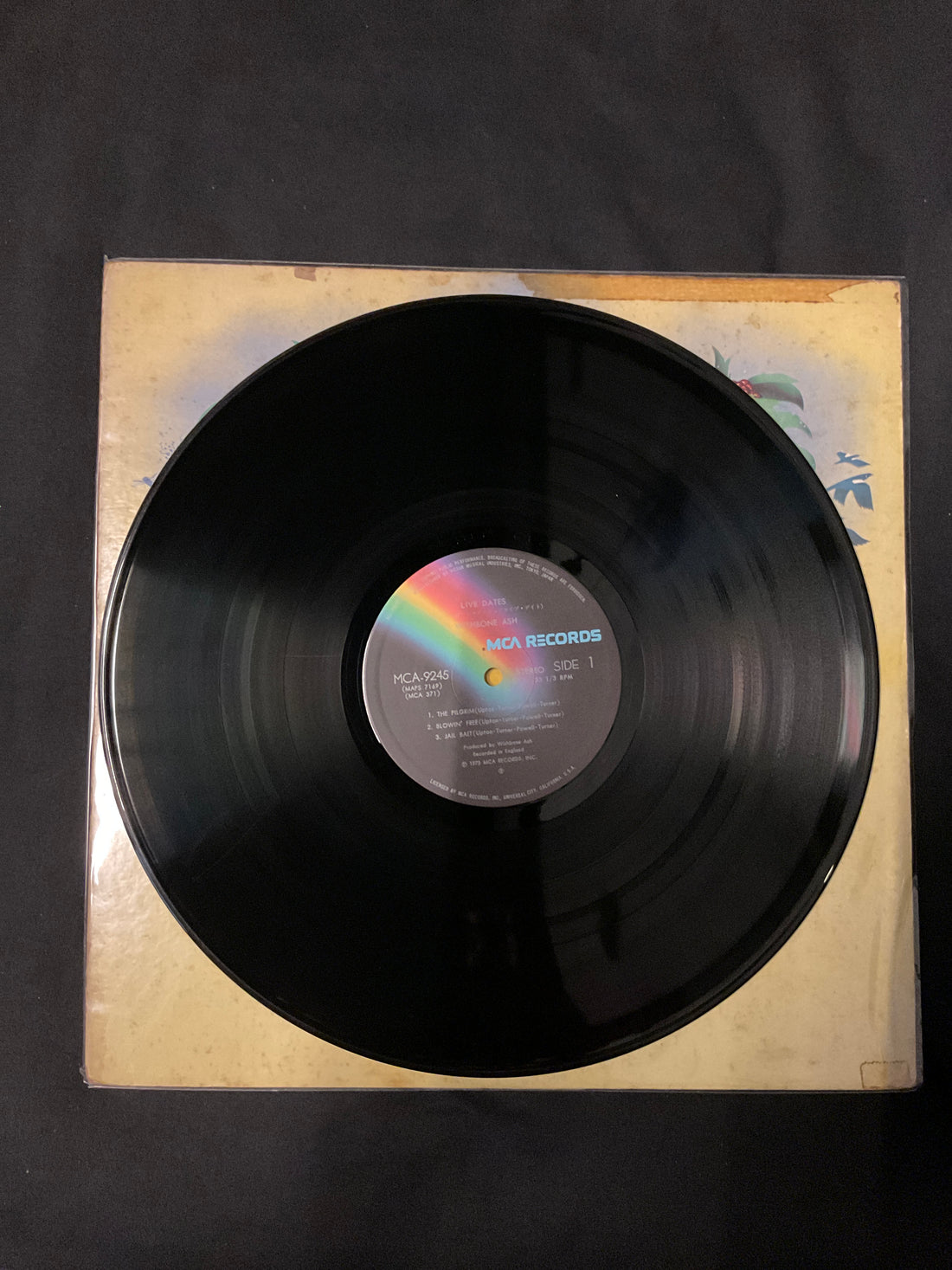 แผ่นเสียง Wishbone Ash = Wishbone Ash - Live Dates = ライブ・デイト Vinyl VG+ 2LPs