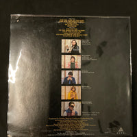 แผ่นเสียง The Corbin Hanner Band - For The Sake Of The Song Vinyl VG+