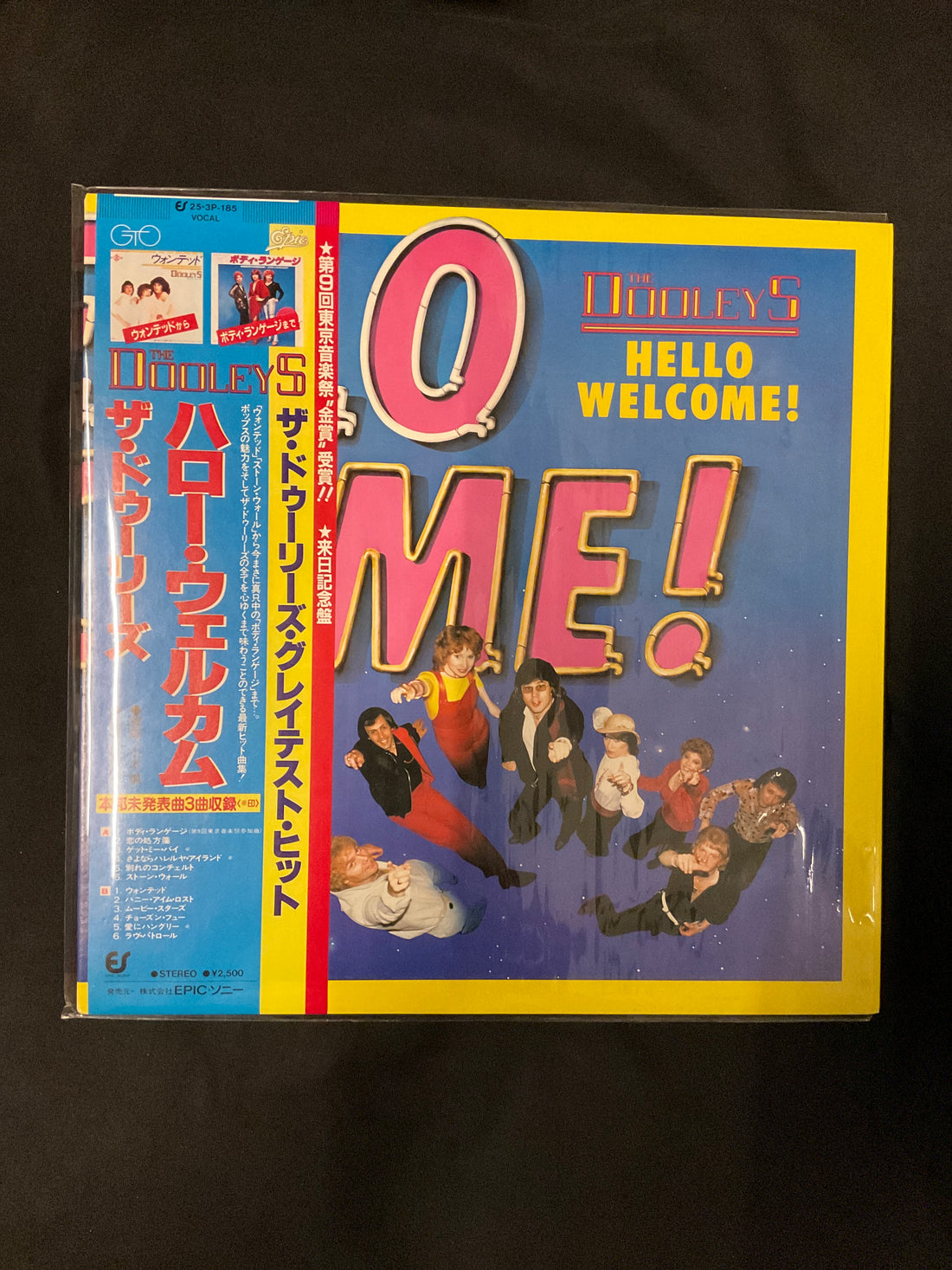 แผ่นเสียง The Dooleys - Hello Welcome! Vinyl VG+