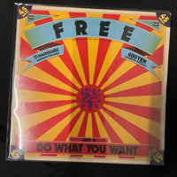 แผ่นเสียง Murasaki - Free Vinyl VG